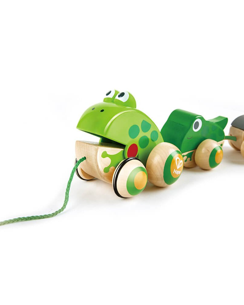 Famille de grenouilles à promener - Jouets à tirer / pousser - Boutique LeoLudo - Hape