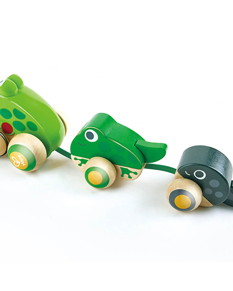 Famille de grenouilles à promener - Jouets à tirer / pousser - Boutique LeoLudo - Hape