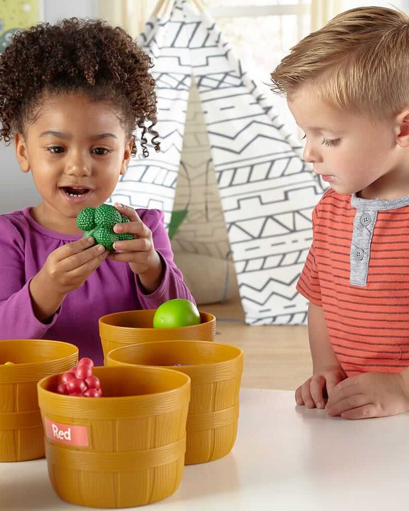 Jeu de triage des couleurs du marché fermier - Jeux éducatifs - Boutique LeoLudo - Learning Resources