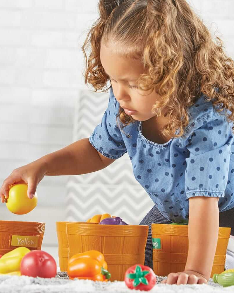 Jeu de triage des couleurs du marché fermier - Jeux éducatifs - Boutique LeoLudo - Learning Resources