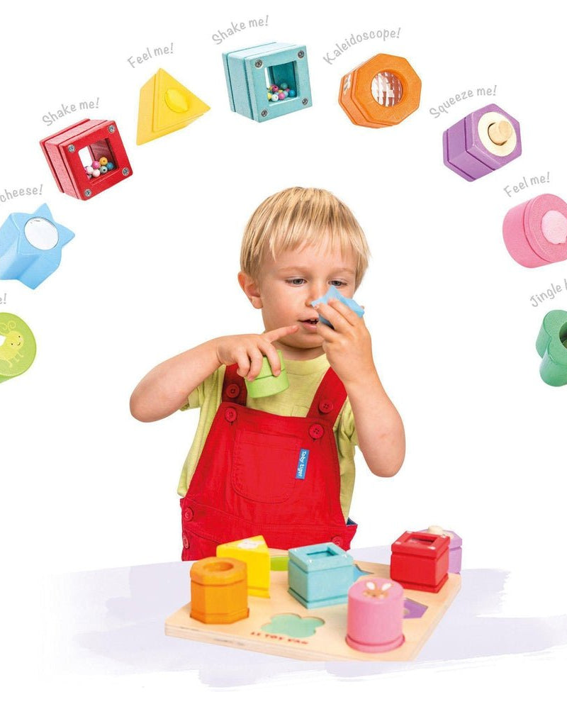Jeu éveil des sens Petilou - Jouets d'éveil - Boutique LeoLudo - Le Toy Van