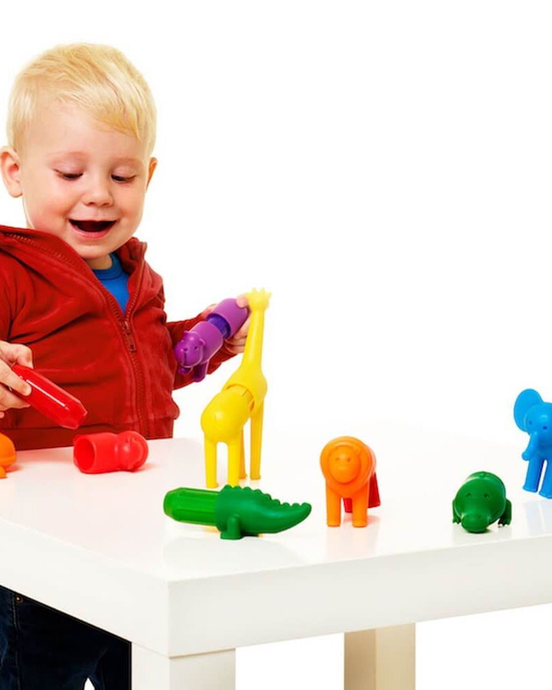 Jeu magnétique - Mes premiers animaux de la savane (18 mcx) - Jeux magnétiques - Boutique LeoLudo - SmartMax