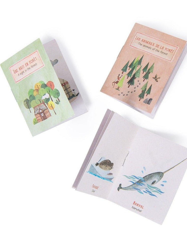 Lampe à histoires de l'explorateur - Lampes à histoire - Boutique LeoLudo - Moulin Roty