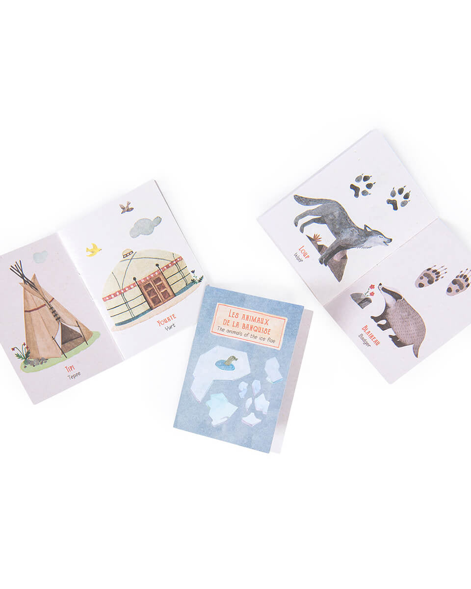 Lampe à histoires de l'explorateur - Lampes à histoire - Boutique LeoLudo - Moulin Roty