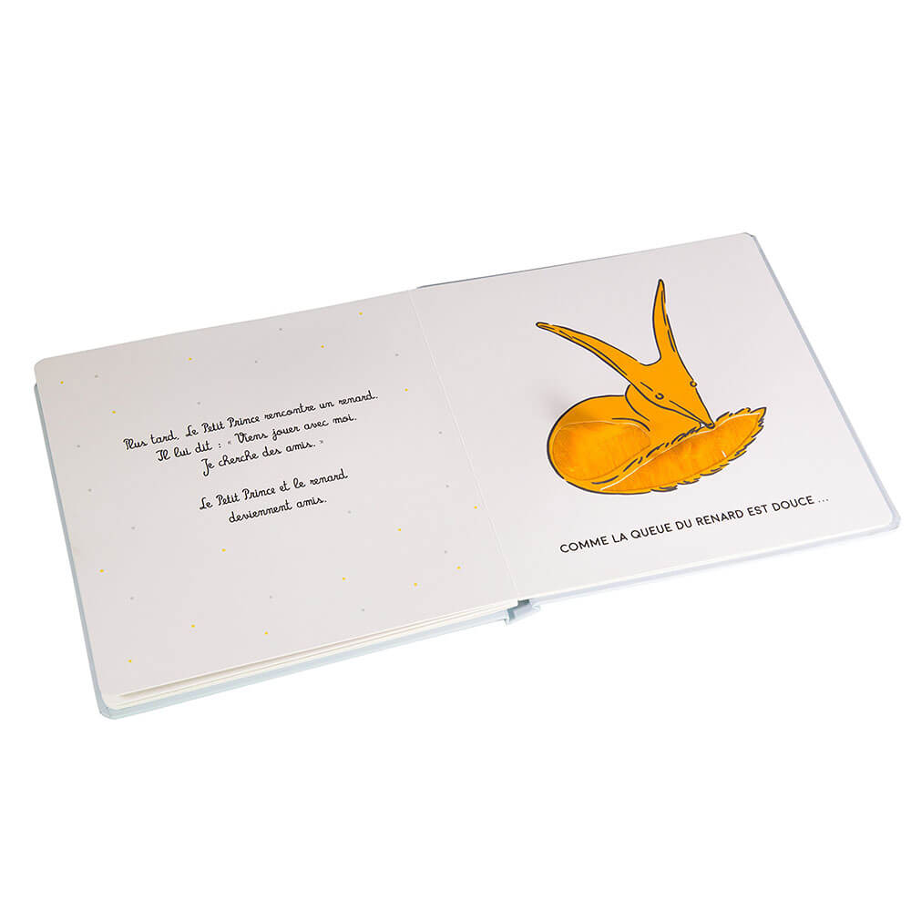Le Petit Prince: Mon livre à toucher - Livres - Boutique LeoLudo - Éditions Fleurus