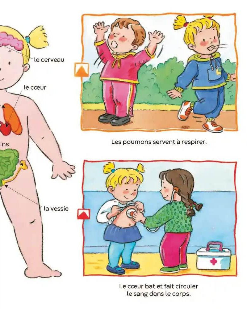 L'imagerie des tout - petits - Le corps - Livres - Boutique LeoLudo - Éditions Fleurus
