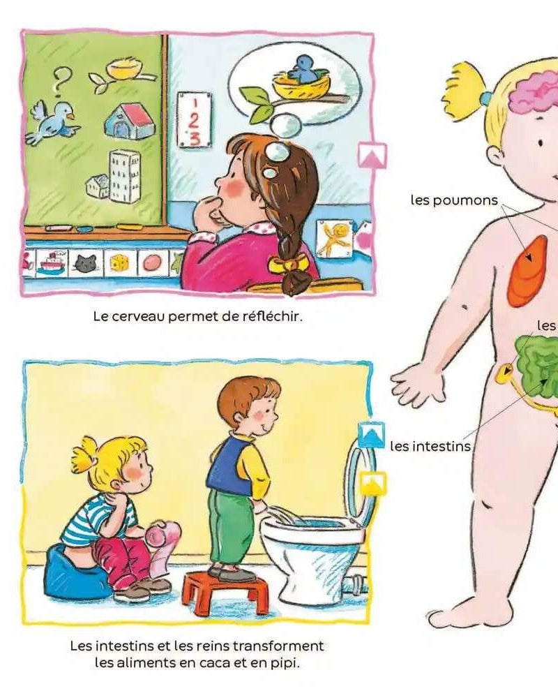 L'imagerie des tout - petits - Le corps - Livres - Boutique LeoLudo - Éditions Fleurus