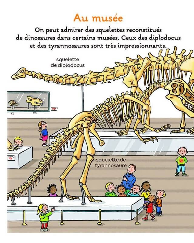L'imagerie des tout - petits - Les dinosaures - Livres - Boutique LeoLudo - Éditions Fleurus