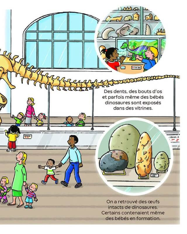 L'imagerie des tout - petits - Les dinosaures - Livres - Boutique LeoLudo - Éditions Fleurus