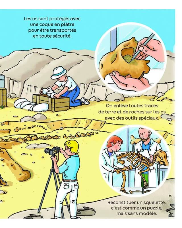 L'imagerie des tout - petits - Les dinosaures - Livres - Boutique LeoLudo - Éditions Fleurus