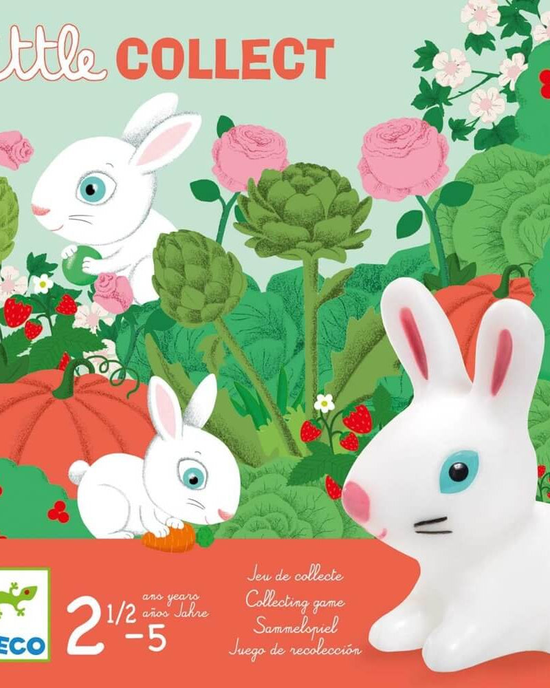 Little Collect - Jeux de société - Boutique LeoLudo - Djeco