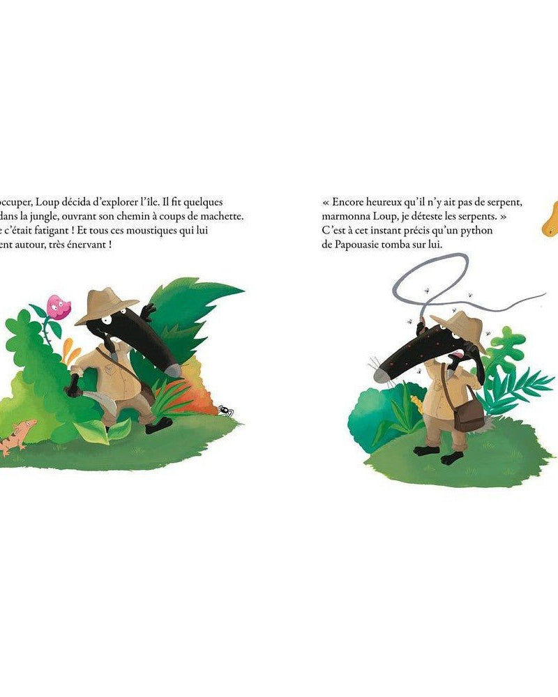 Livre - Le loup qui fêtait son anniversaire (éd. Collector) - Livres - Boutique LeoLudo - Auzou