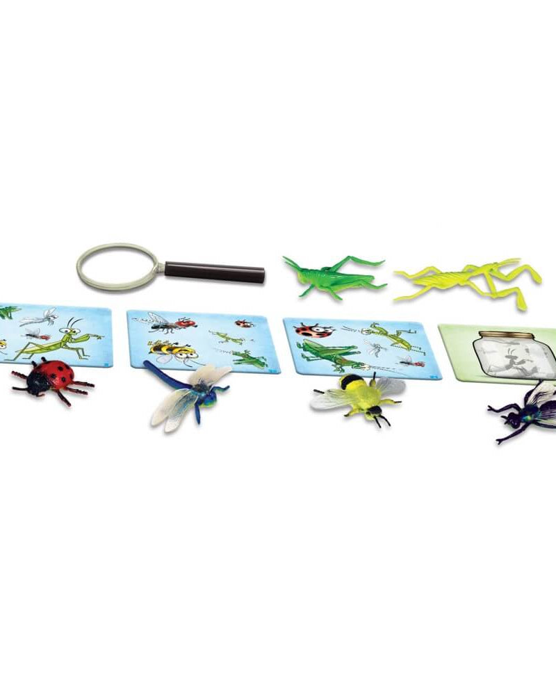 Ludo & Méninge - La chasse aux bestioles - Jeux de société - Boutique LeoLudo - Gladius