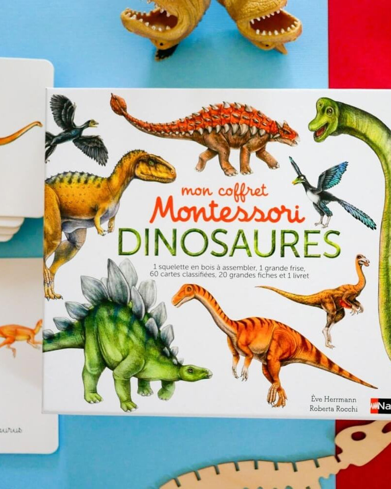 Mon coffret Montessori - Dinosaures - Jeux éducatifs - Boutique LeoLudo - Nathan