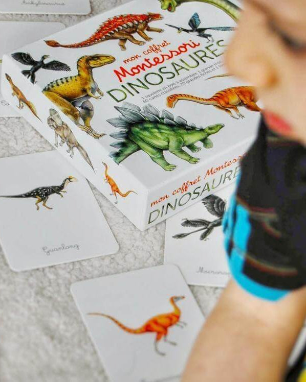 Mon coffret Montessori - Dinosaures - Jeux éducatifs - Boutique LeoLudo - Nathan