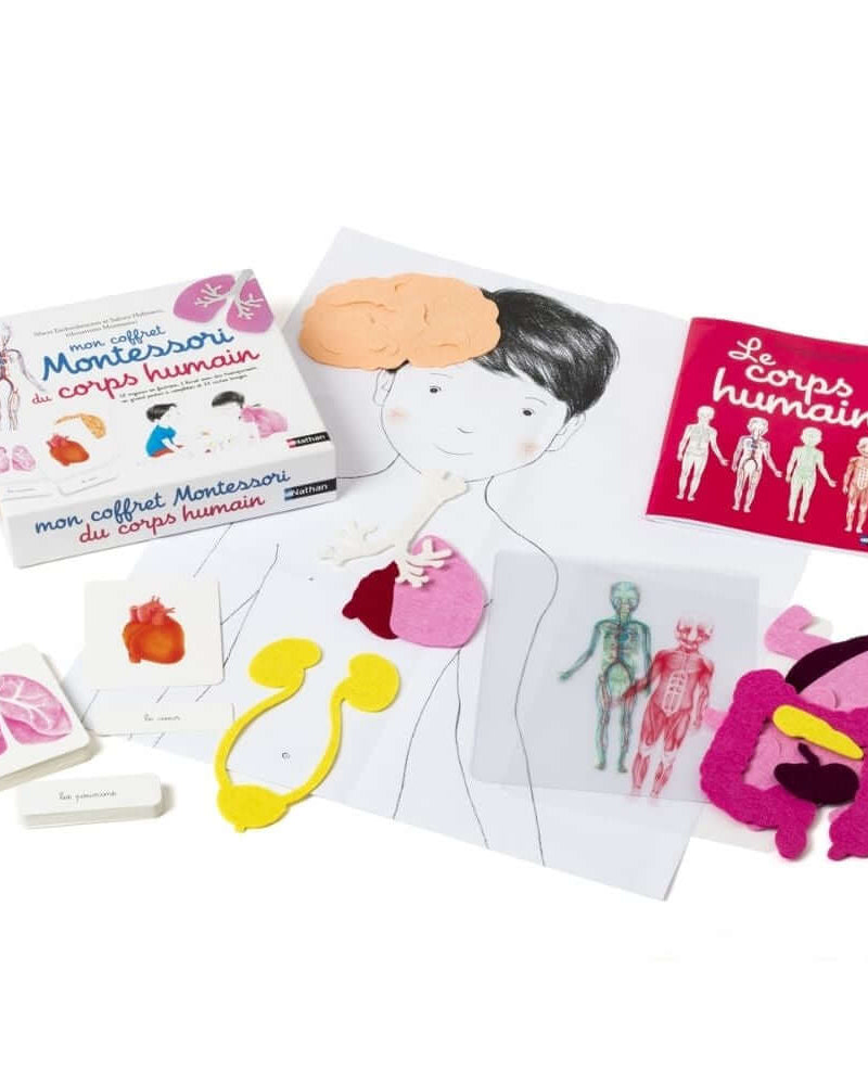 Mon coffret Montessori du corps humain - Jeux éducatifs - Boutique LeoLudo - Nathan