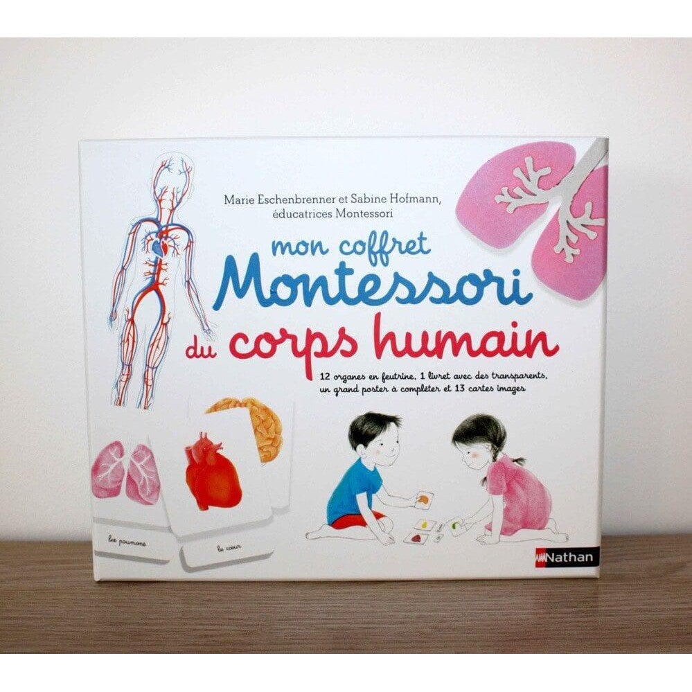 Mon coffret Montessori du corps humain - Jeux éducatifs - Boutique LeoLudo - Nathan