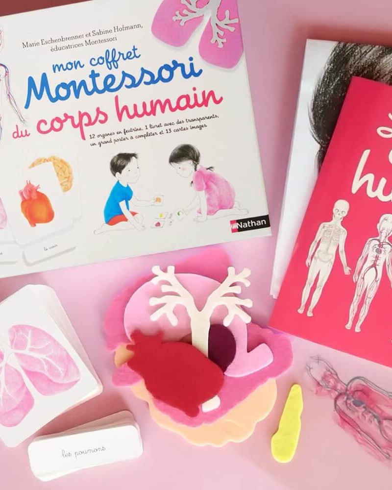 Mon coffret Montessori du corps humain - Jeux éducatifs - Boutique LeoLudo - Nathan