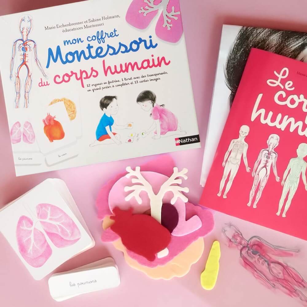 Mon coffret Montessori du corps humain - Jeux éducatifs - Boutique LeoLudo - Nathan