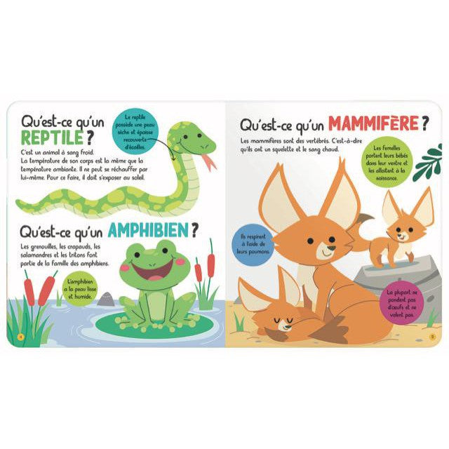 Mon encycloPETIT des petites bêtes-Petits Génies-Boutique LeoLudo