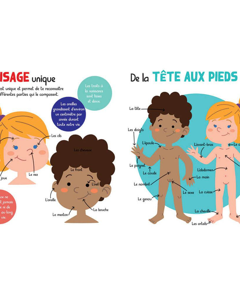 Mon encycloPETIT du corps humain - Livres - Boutique LeoLudo - Petits Génies