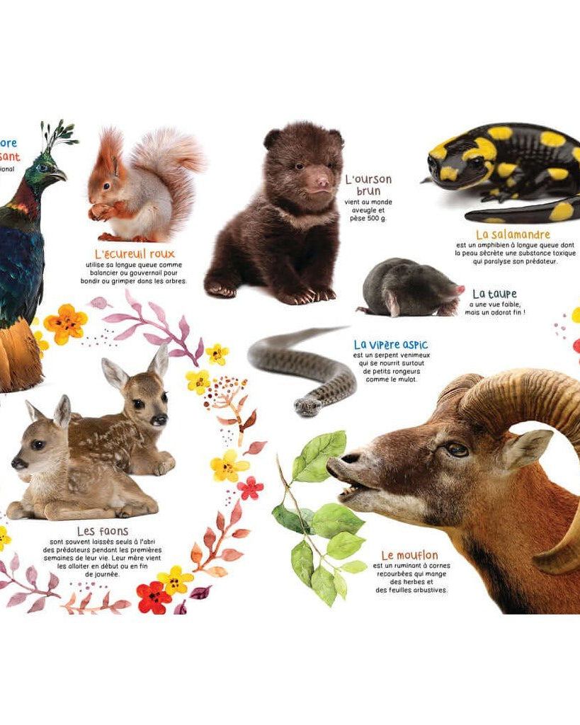 Mon livre géant des animaux - Livres - Boutique LeoLudo - Petits Génies