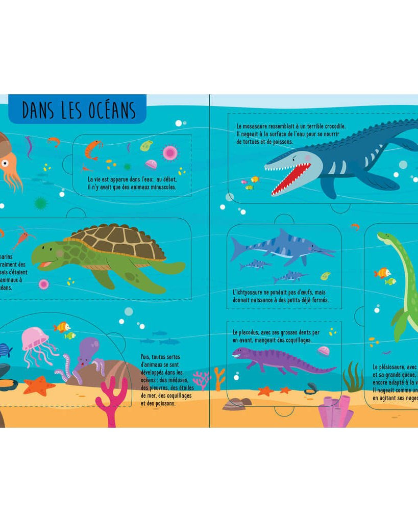 Soulève et découvre - Au temps des dinosaures - Livres - Boutique LeoLudo - Petits Génies
