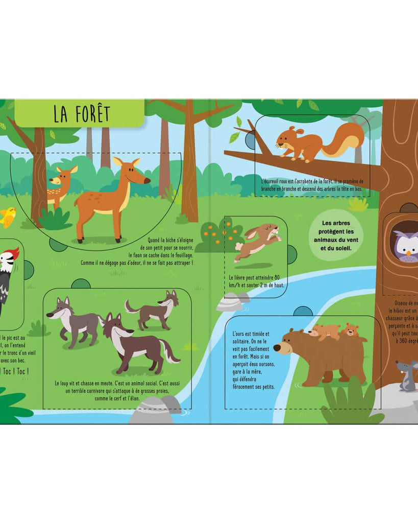 Soulève et découvre - Tes amis les animaux - Livres - Boutique LeoLudo - Petits Génies