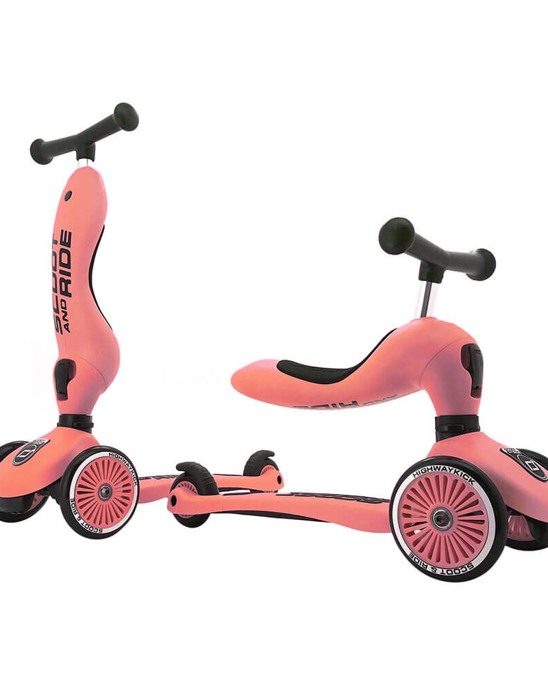 Trottinette 2 - en - 1 Highwaykick 1 - Pêche - Jeux d'extérieur - Boutique LeoLudo - Scoot & Ride