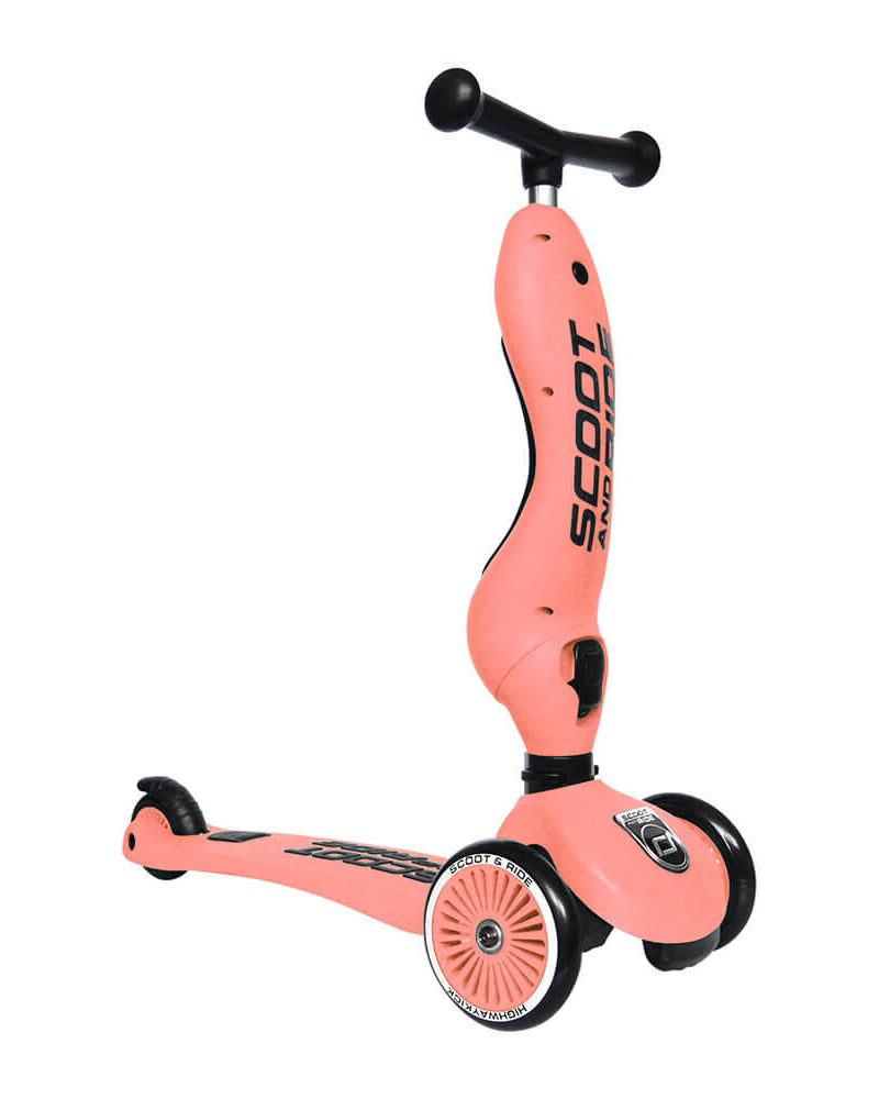Trottinette 2 - en - 1 Highwaykick 1 - Pêche - Jeux d'extérieur - Boutique LeoLudo - Scoot & Ride