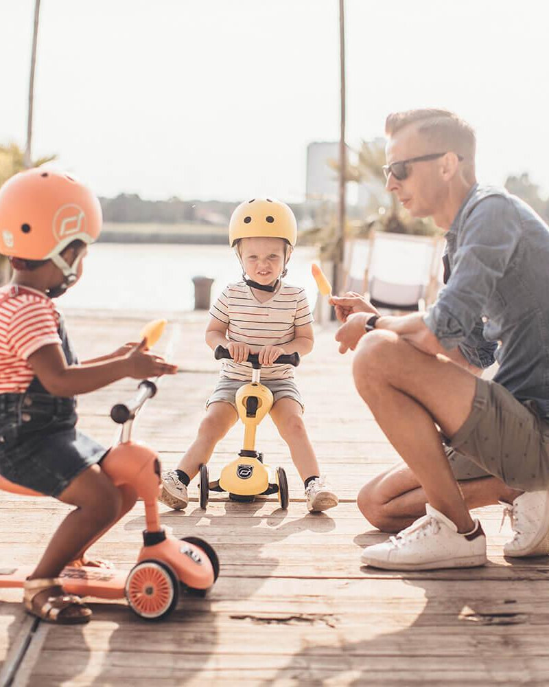 Trottinette 2 - en - 1 Highwaykick 1 - Pêche - Jeux d'extérieur - Boutique LeoLudo - Scoot & Ride