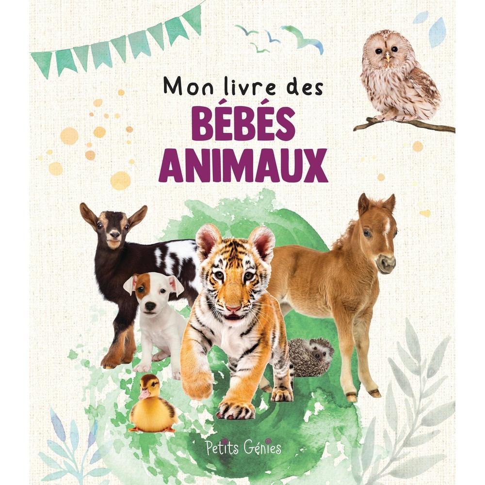 PETITS GÉNIES Les petits génies