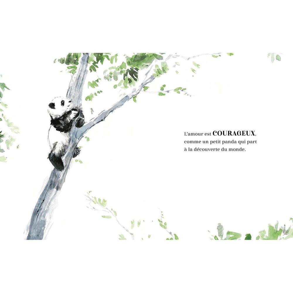 L'amour LivresAuzou- Boutique LeoLudo