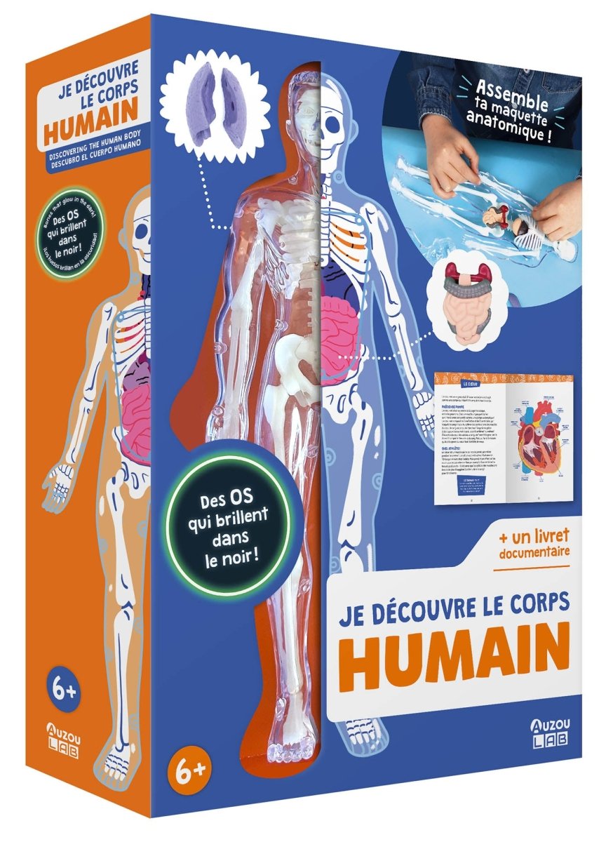Auzou Lab' - Je découvre le corps humain -Jeux scientifiques- Boutique LeoLudo-Auzou