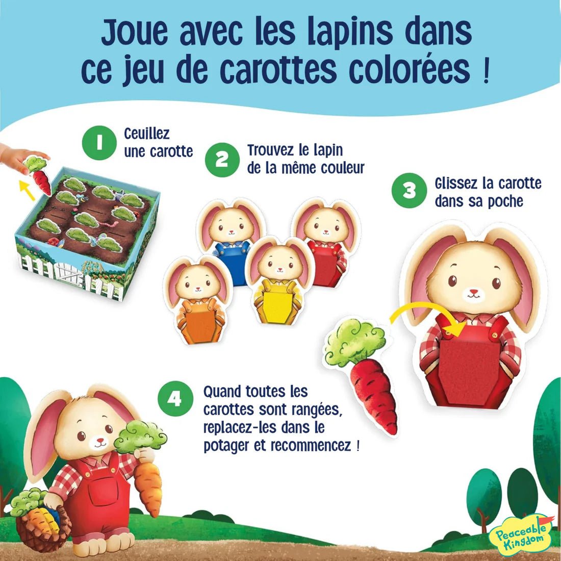 C'est dans la poche - Jeux de société - Boutique LeoLudo - Peaceable Kingdom