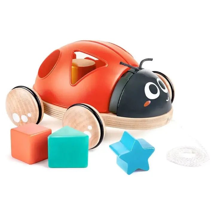 Coccinelle à formes à tirer - Jouets d'éveil - Boutique LeoLudo - Hape