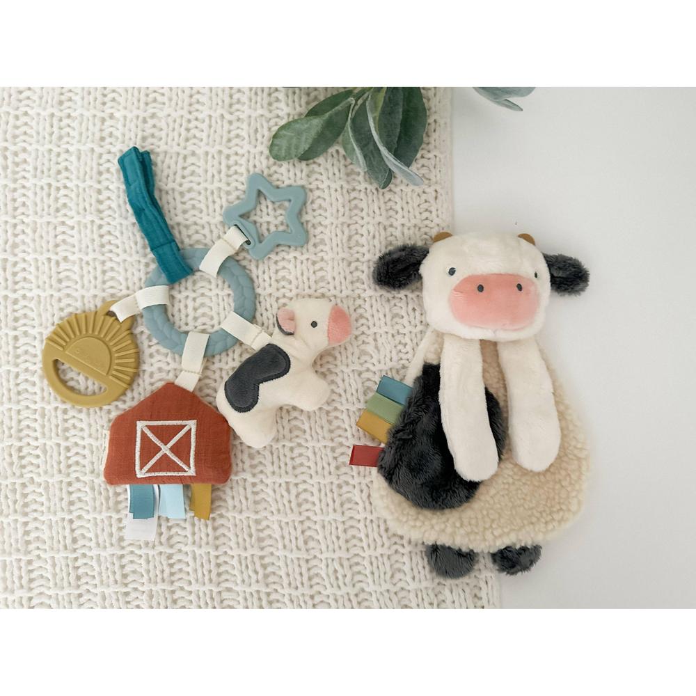 Coffret cadeau sensoriel bébé – Bitzy Busy Gift Set - Jouets d'éveil - Boutique LeoLudo - Itzy Ritzy Canada