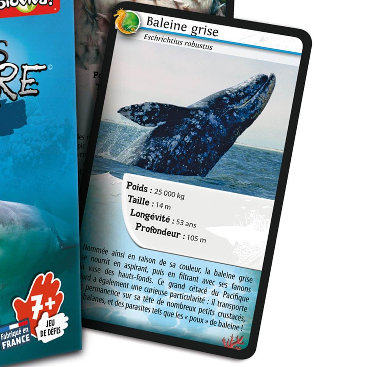 Défis Nature - Animaux marins - Jeux de société - Boutique LeoLudo - Bioviva