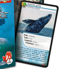 Défis Nature - Animaux marins - Jeux de société - Boutique LeoLudo - Bioviva