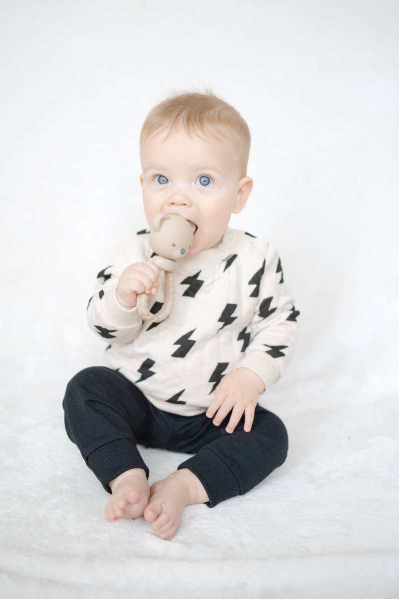Hochet de dentition Shake & Smile -Jouets d'éveil- Boutique LeoLudo-Itzy Ritzy Canada