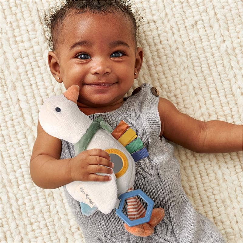 Jouet d’éveil bébé à accrocher – Bitzy Traveler™ - Jouets d'éveil - Boutique LeoLudo - Itzy Ritzy Canada
