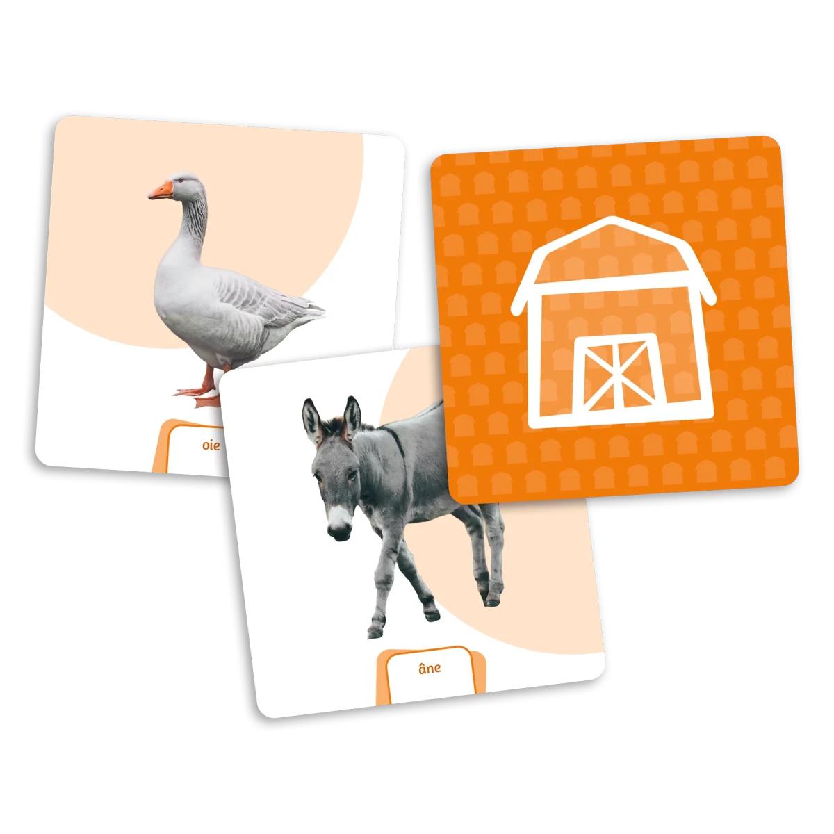 Le dé des premiers mots - Les animaux [extension du Dé des premiers mots] -Jeux éducatifs- Boutique LeoLudo-Placote