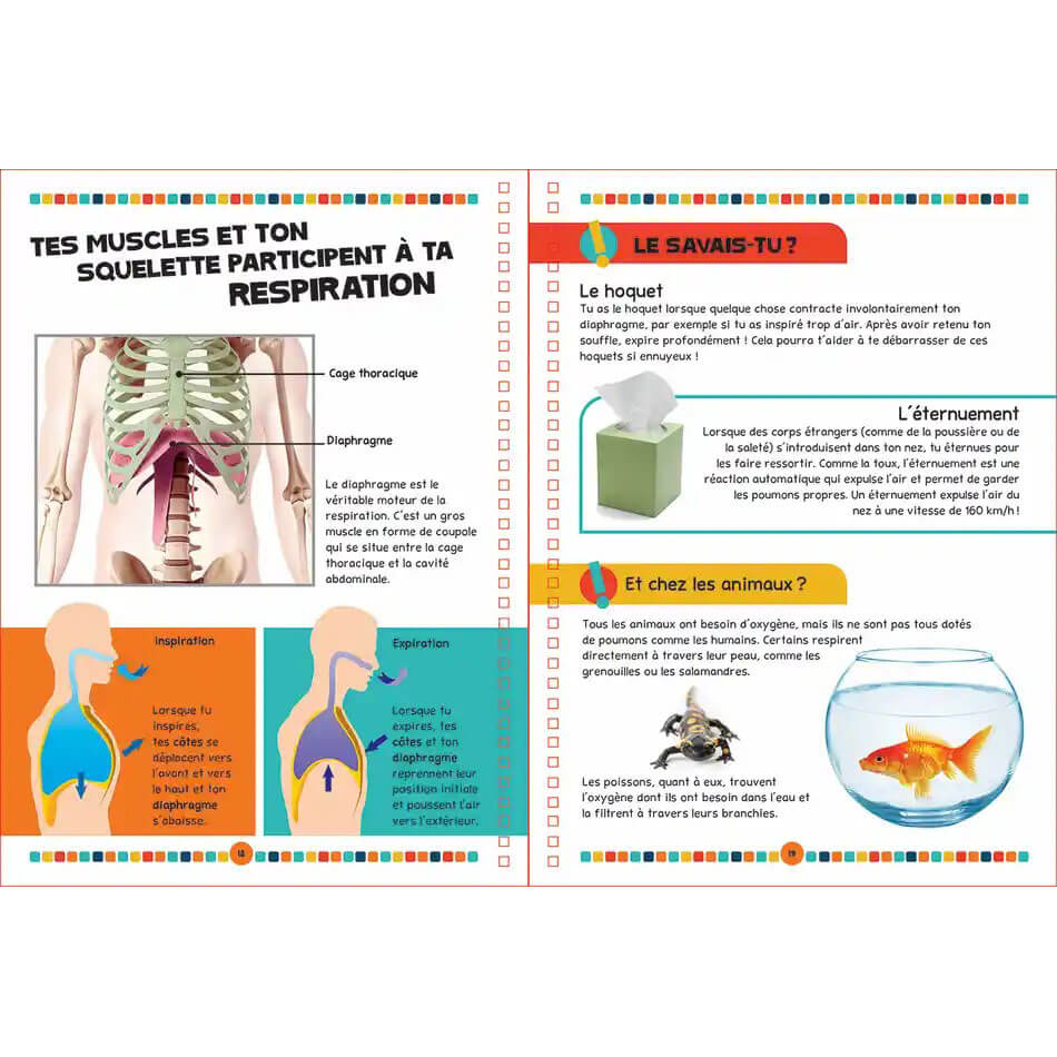 Le livre du corps humain - Livres - Boutique LeoLudo - Petits Génies