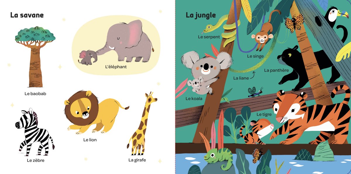 Mes 100 mots pour découvrir le monde - Livres d'éveil - Boutique LeoLudo - Auzou