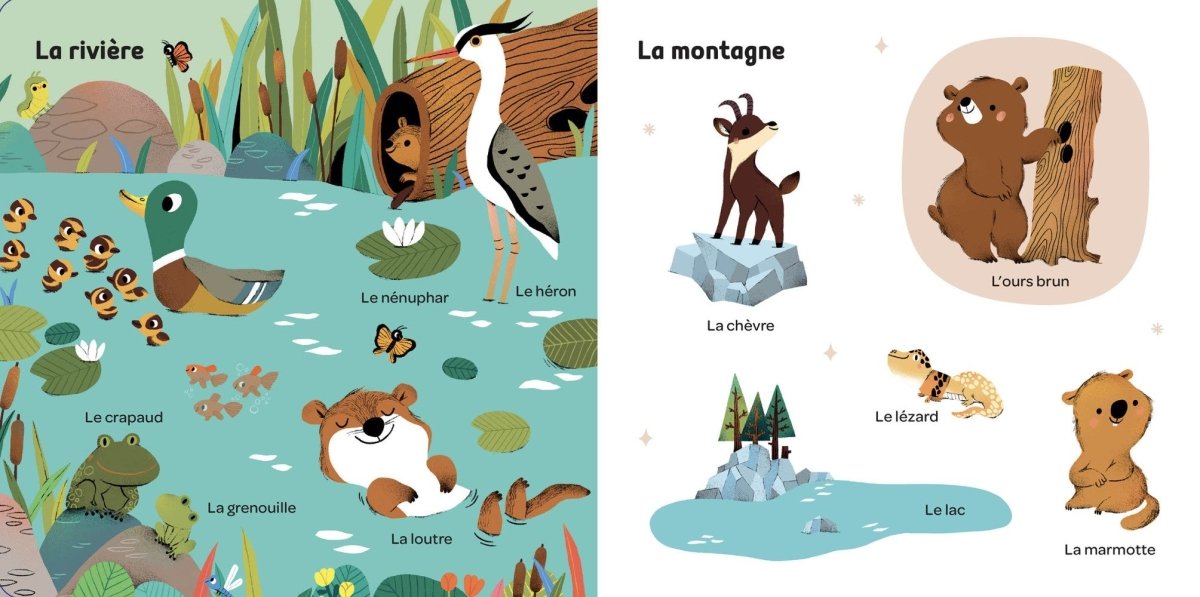 Mes 100 mots pour découvrir le monde - Livres d'éveil - Boutique LeoLudo - Auzou