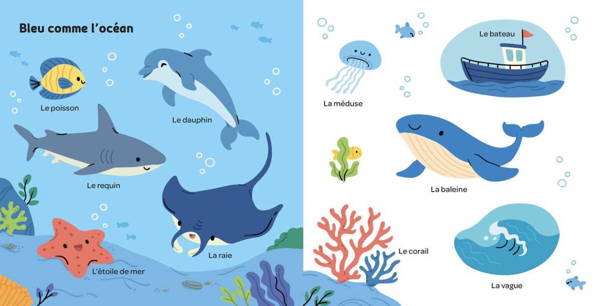 Mes 100 premiers mots tout en couleurs - Livres d'éveil - Boutique LeoLudo - Auzou