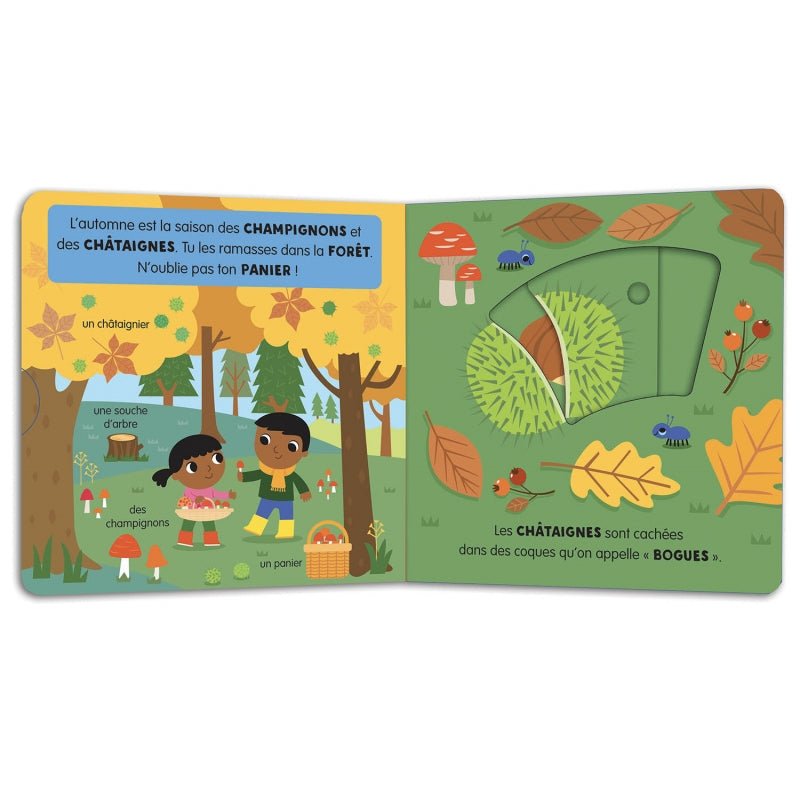 Mon Anim'agier - L'automne - Livres - Boutique LeoLudo - Auzou