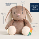 Peluche sensorielle bébé – Ana le lapin -Peluches- Boutique LeoLudo-Itzy Ritzy Canada