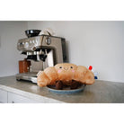 Peluche sensorielle bébé – Sweetie Snuggles™ - Peluches - Boutique LeoLudo - Itzy Ritzy Canada