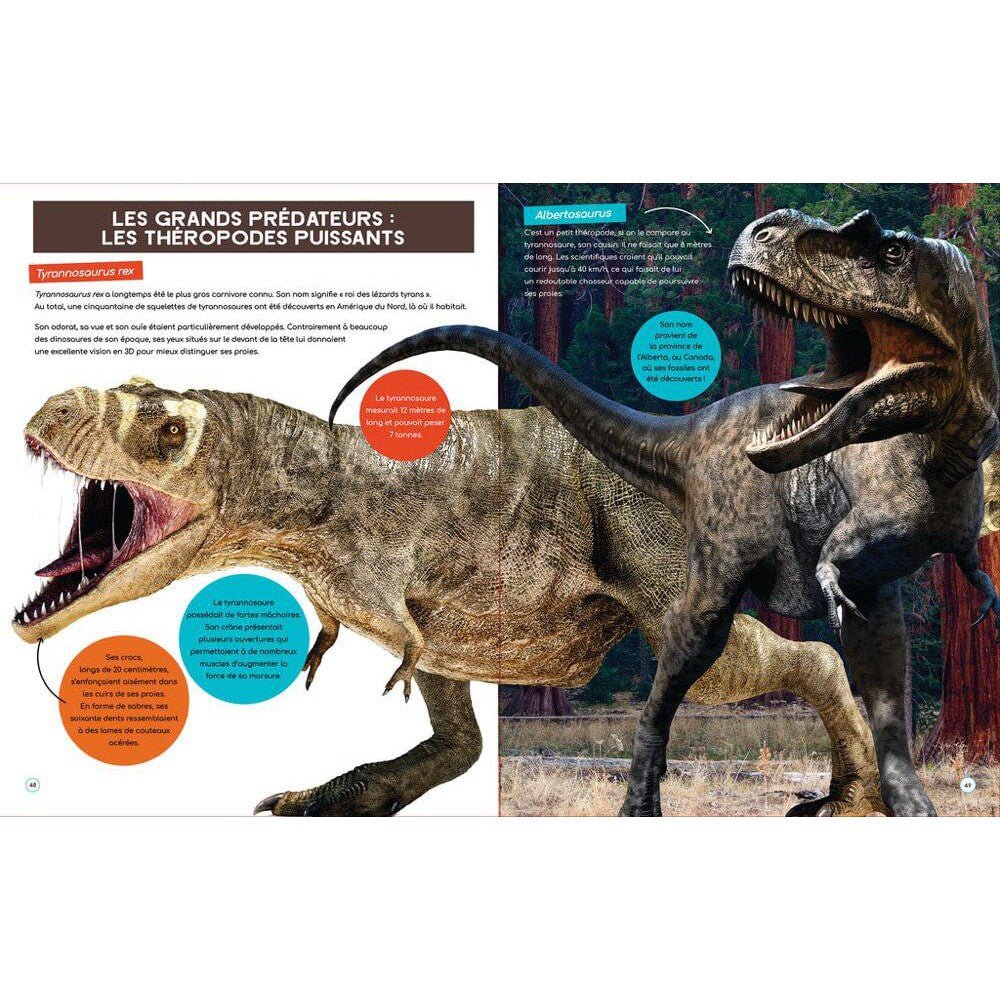 À la découverte des dinosaures - Livres - Boutique LeoLudo - Petits Génies
